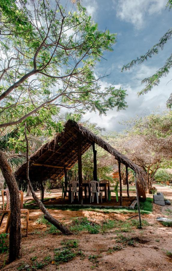 Sarada Beach Resort Yala Tissamaharama Exteriör bild