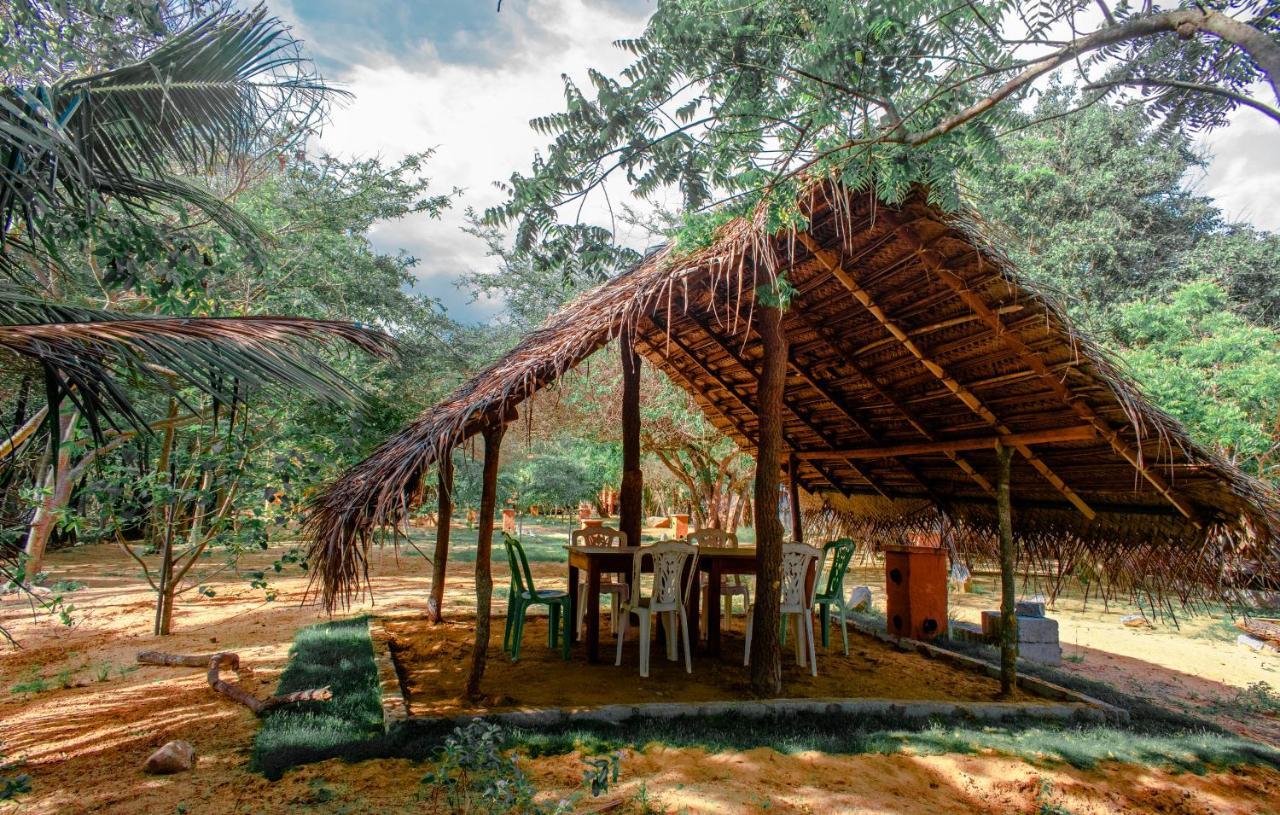Sarada Beach Resort Yala Tissamaharama Exteriör bild