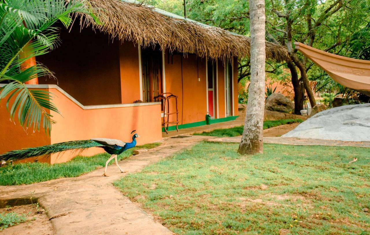Sarada Beach Resort Yala Tissamaharama Exteriör bild