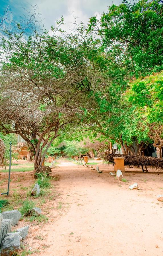 Sarada Beach Resort Yala Tissamaharama Exteriör bild