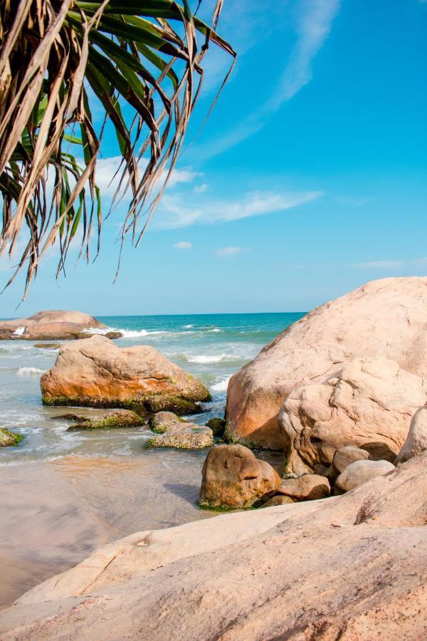 Sarada Beach Resort Yala Tissamaharama Exteriör bild