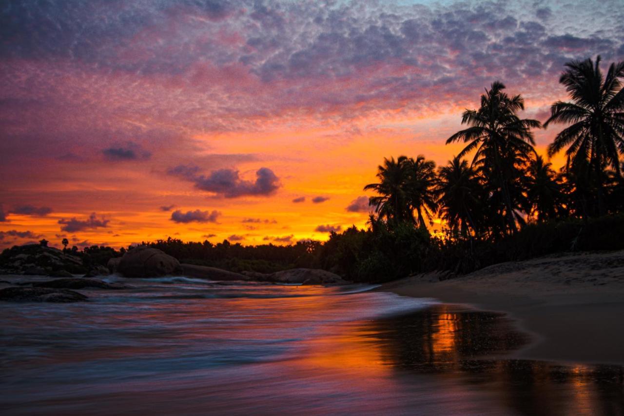 Sarada Beach Resort Yala Tissamaharama Exteriör bild